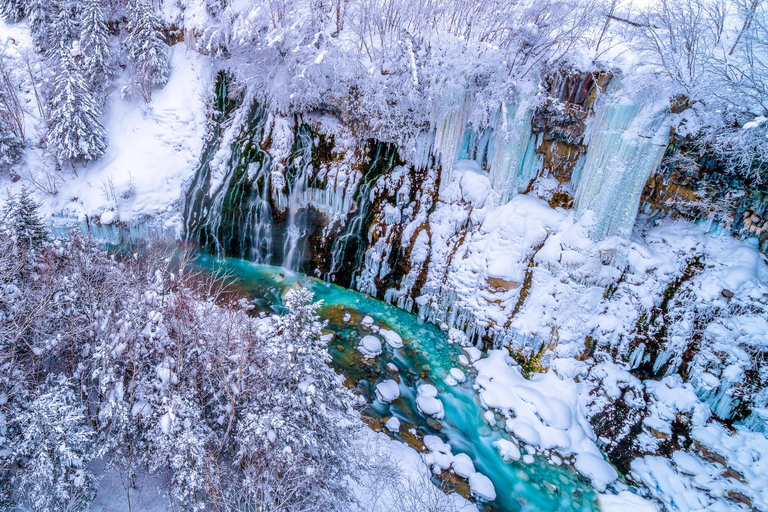 Sapporo: Asahiyama Zoo, Shirahige Falls /w Lunch & Ticket 7:40 Meet at Tokyu REI Hotel