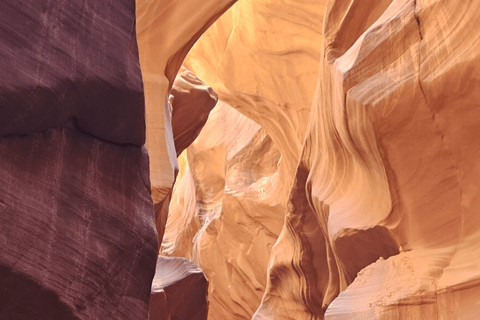 Von Phoenix: Kleingruppentour zum Antelope Canyon