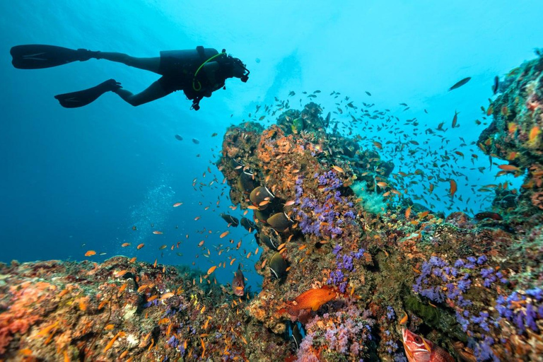 3 Fun Dives for Certified King Cruiser wreck and Koh Dok Mai