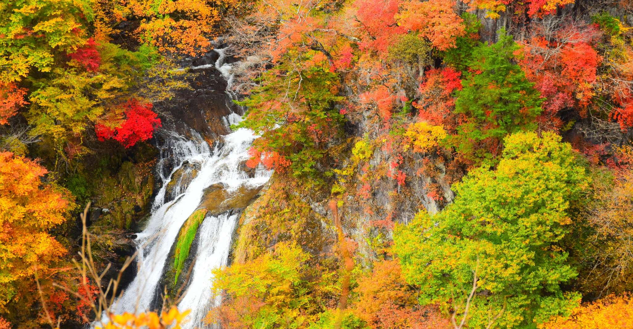 Nikko Private Full-Day Sightseeing Day Tour - Hizvo