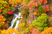 Excursión privada de día completo a Nikko - Hizvo