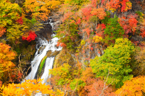 Da Tokyo: Escursione privata di una giornata intera a NikkoTour privato di un giorno di Nikko con visita panoramica di un giorno intero