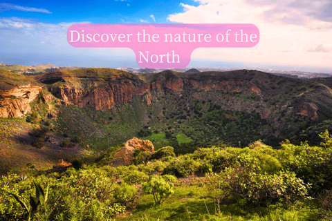 Grande Canarie : vidéo VIP PRIVÉE en drone 4K du nord de l'îleGrande Canarie : visite vidéo VIP privée en drone 4K