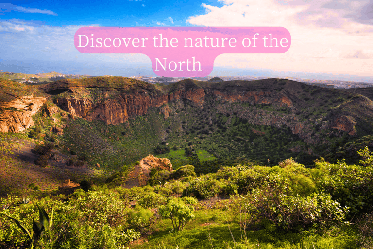 Grande Canarie : vidéo VIP PRIVÉE en drone 4K du nord de l'îleGrande Canarie : visite vidéo VIP privée en drone 4K