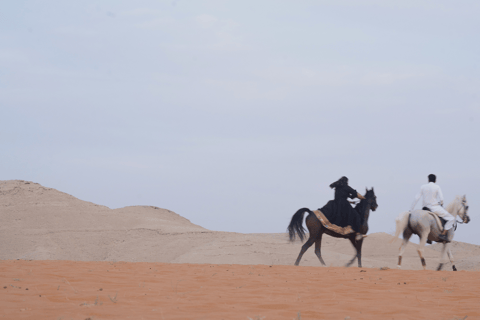 Reite durch die Dünen: Wüstenabenteuer zu Pferd in Doha
