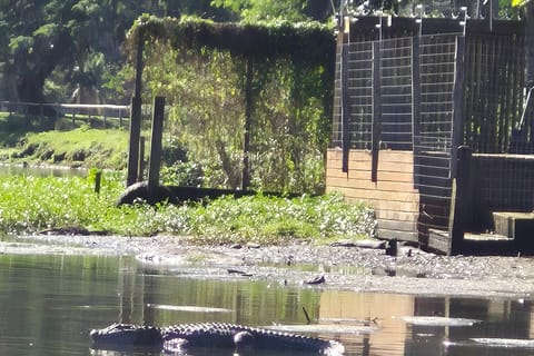 Pantanal of Rio de Janeiro