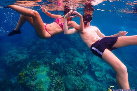 Koh Tao: Isole Snorkeling Highlights Day Tour e pranzo