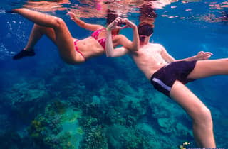Koh Tao: Inseln Schnorcheln Highlights Tagestour & Mittagessen