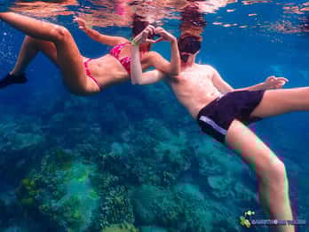 Koh Tao: Islands Snorkeling Highlights Day Tour & Lunch