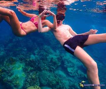 Koh Tao: Eilanden Snorkelen Hoogtepunten Dag Tour & Lunch