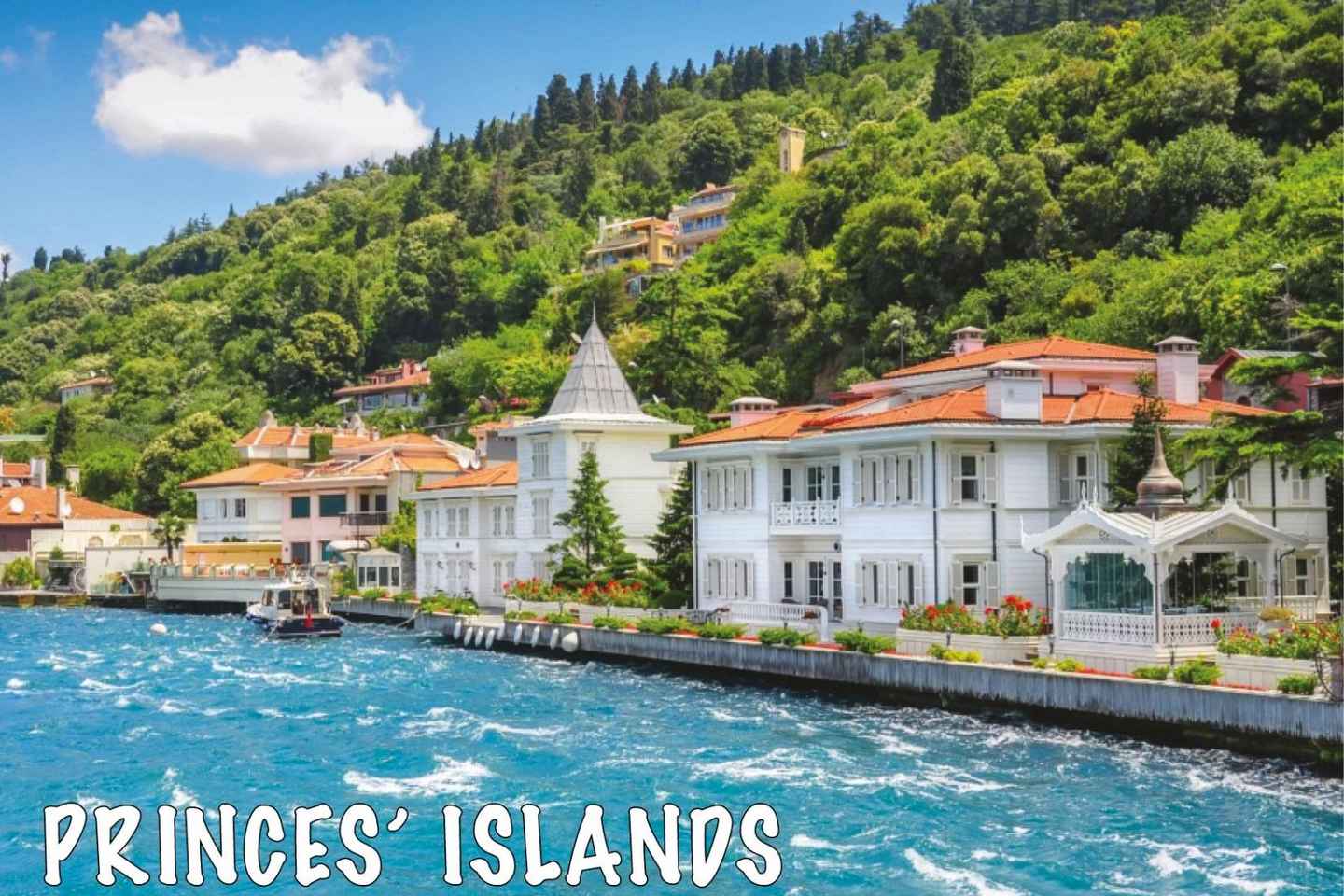 Istanbul: Day Trip to the Princes' Islands