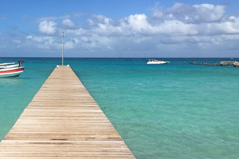 Punta Cana: Saona Island Tour with Lunch & Open Bar