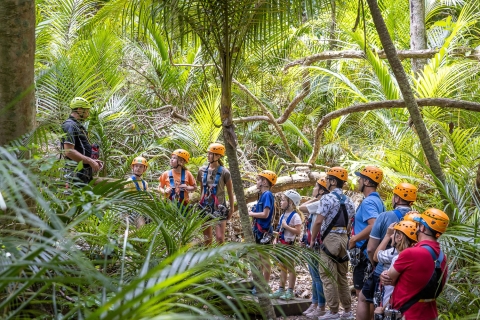 Isla Waiheke: tirolina y aventura en el bosque nativoCon servicio de recogida y regreso