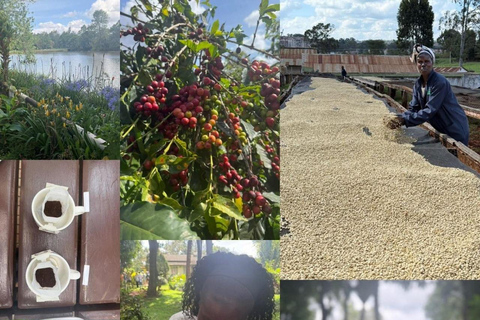 From Nairobi: Tea and Coffee Farm Tour with Tastings