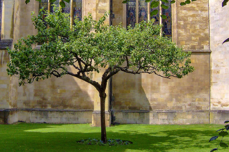 Cambridge : Visite à pied de l&#039;université