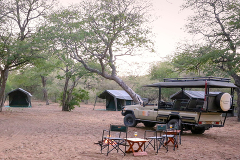 Kasane: Chobe National Park: 2 Nights Semi Luxury camping