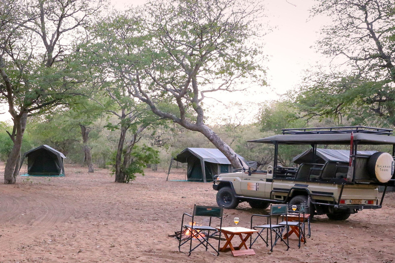 Kasane: Chobe National Park: 2 Nights Semi Luxury camping
