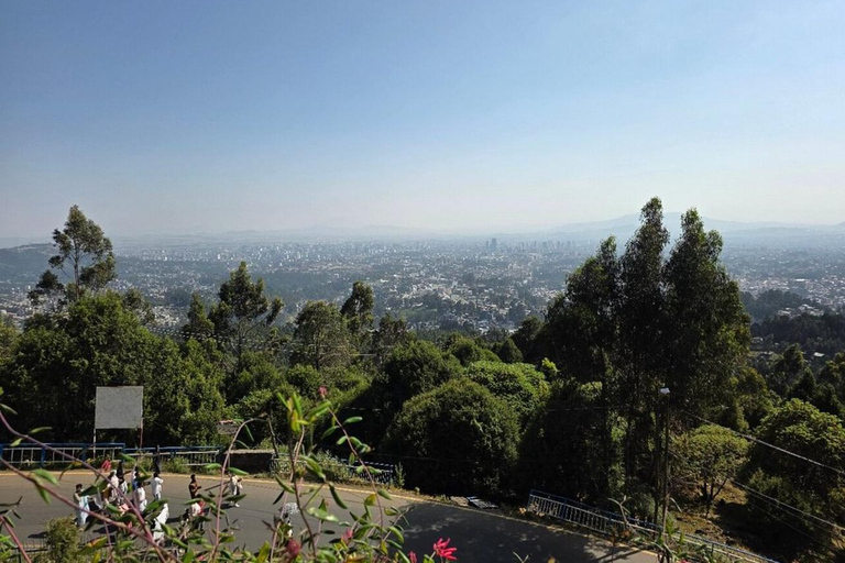 Addis Ababa: Entoto Hills Scenic Drive