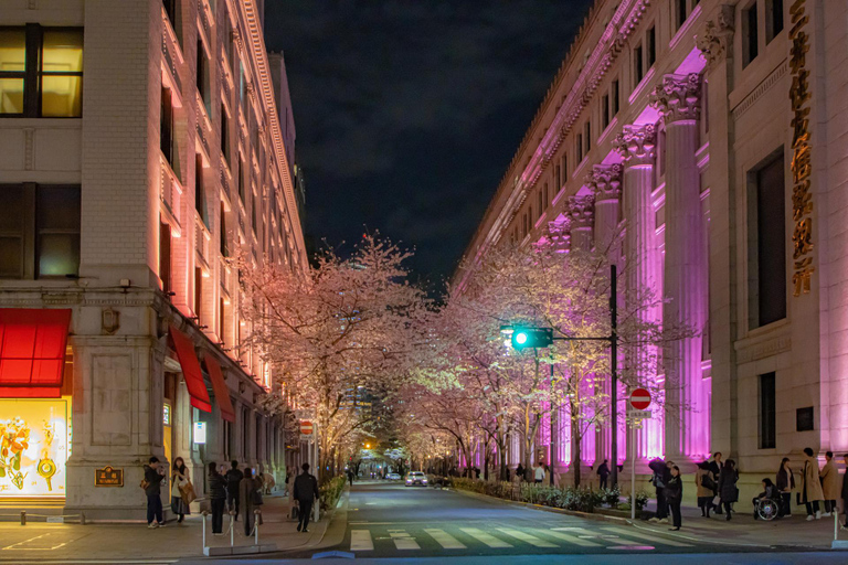 Tokyo: Art Aquarium & "Yozakura" Night Walk Experience