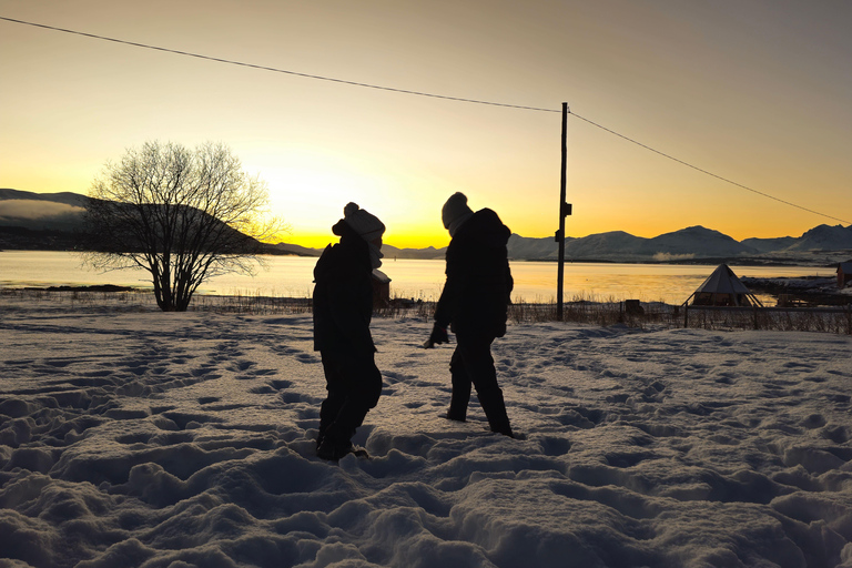 De Tromsø: Vida selvagem no Ártico e passeio turístico pelos fiordes de carro