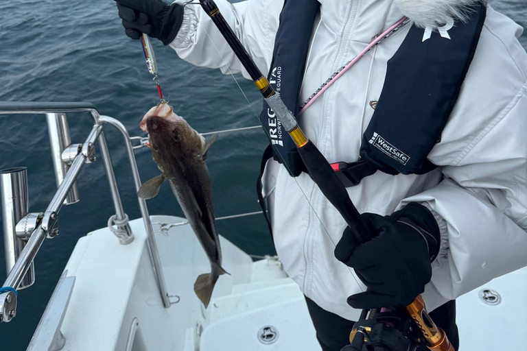 Tromsø: Authentic Fishing with Local Fisherman