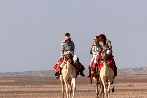 Hurghada: Camel Ride & horse ride and Off-Road Jeep Tour pickup from hotels inside hurghada