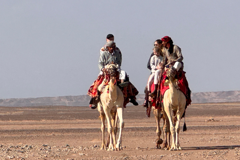 Hurghada: Camel Ride & horse ride and Off-Road Jeep Tour pickup from hotels inside hurghada