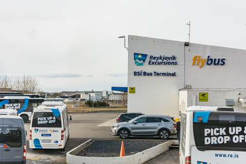 Vanuit Reykjavik: retourvervoer naar de Blue Lagoon