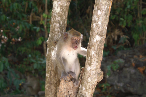 Ko Lanta: Full-Day Snorkel Trip to Phi Phi &amp; Bamboo Islands