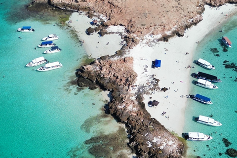 Private Snorkeling Tour - Ad Dimaniyat Islands