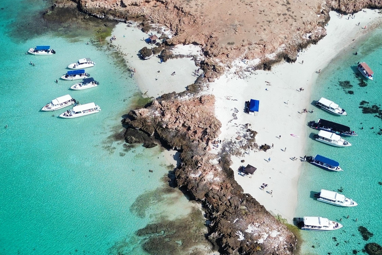 Private Snorkeling Tour - Ad Dimaniyat Islands