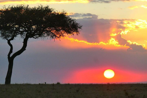 From Nairobi: Overnight Amboseli National Park Safari