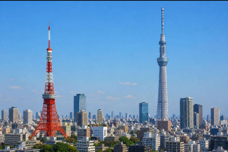 Tokyo: Private Luxury Tokyo City Tour With Driver & Guide Tokyo Private City Tour