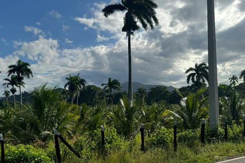Puerto Plata: El Gallo Ecolodge Day Pass with Lunch
