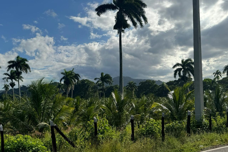 Puerto Plata: El Gallo Ecolodge Day Pass with Lunch