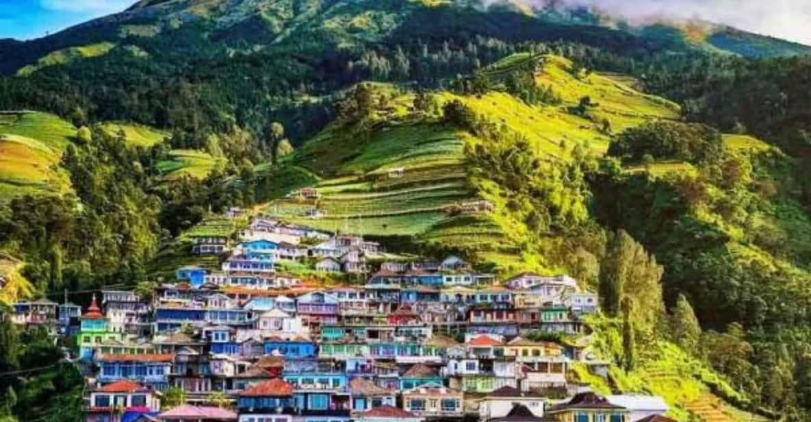 Nepal Panjava YOGYAKARTA; NEPAL VAN JAVA EN VERKEN SELOGRIYO RIJSTVELDEN | GetYourGuide