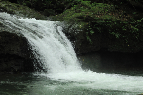 Boquete: Familjetur (Caldera Experiences)