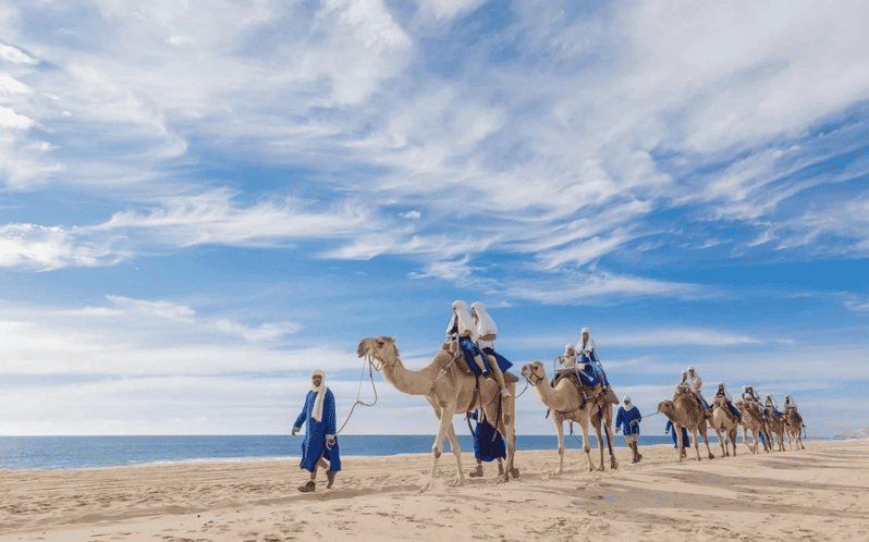 Excursion à Tanger depuis Rabat avec balade à dos de chameau gratuite - dromadaire