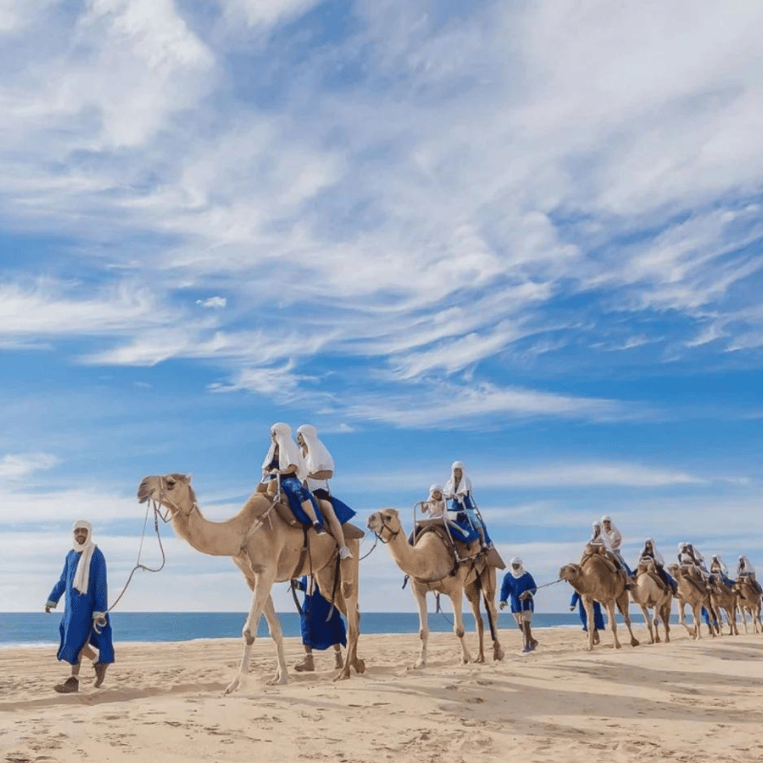 Excursion à Tanger depuis Rabat avec balade à dos de chameau gratuite - dromadaire