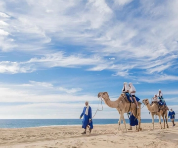 Dagsutflykt till Tanger från Rabat med gratis kamelridning