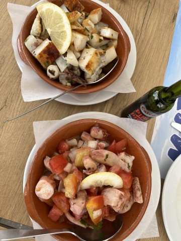 Visit Albufeira Portuguese Tapas and Wine Experience with Pickup in Dahlonega