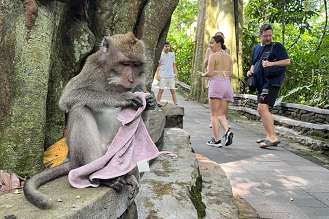 Bali: Batuan temple, Monkey Forest, Kato Lampo waterfall