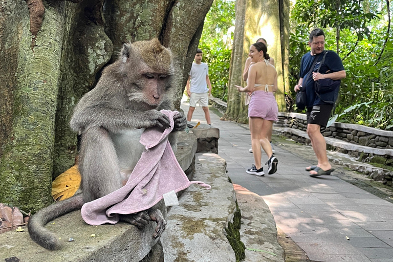 Bali: Batuan temple, Monkey Forest, Kato Lampo waterfall