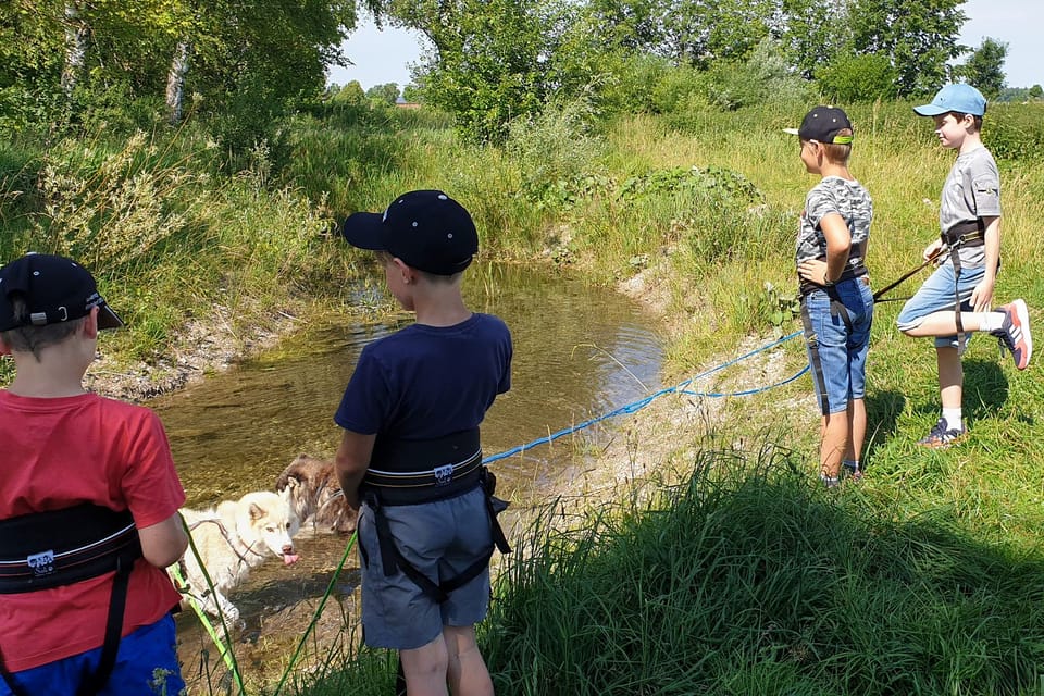 Unterallgäu, Wiedergeltingen Guided Hike with Huskies - Hizvo