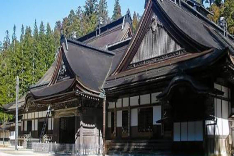 Wakayama: Private Tour to Nachi Falls & Mount Koya