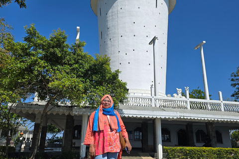 From Kandy: Pinnawala Elephants & Ambuluwawa Tower Day Tour From Kandy: Ambuluwawa Tower private tour by car/mini van 02