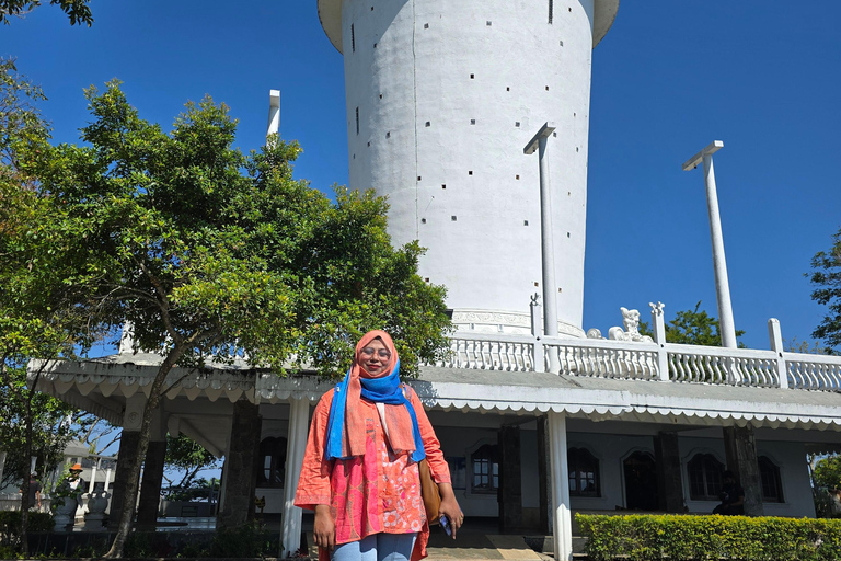 From Kandy: Pinnawala Elephants & Ambuluwawa Tower Day Tour From Kandy: Ambuluwawa Tower private tour by car/mini van 02
