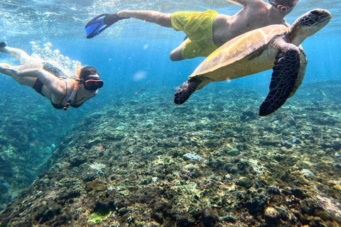 Bali: Nusa Penida Snorkeling and Island Tour with Lunch