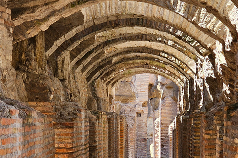 Rome : Colisée souterrain max. 6 personnes