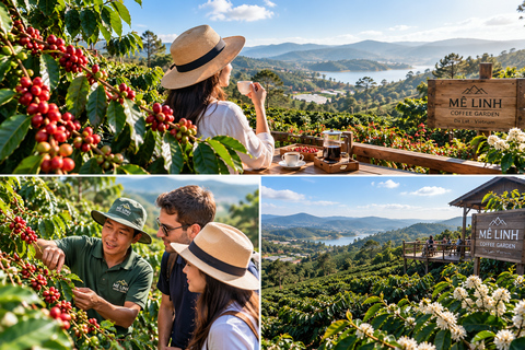 Da Lat: Coffee Plantation & Datanla Alpine Coaster Tour